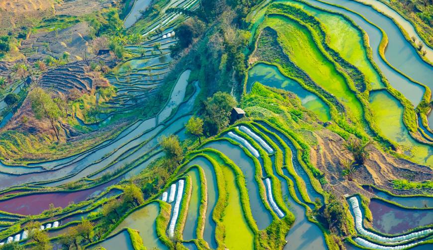 宝妈必备神器：定兴县产品视频拍摄轻松育儿好帮手
